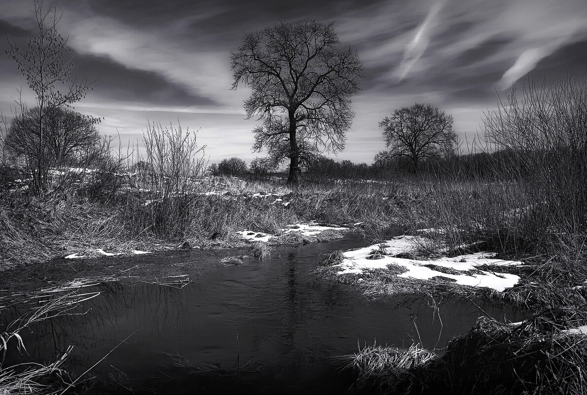 У Чёрной речки... - Владимир Шошин У Чёрной речки... - Владимир Шошин