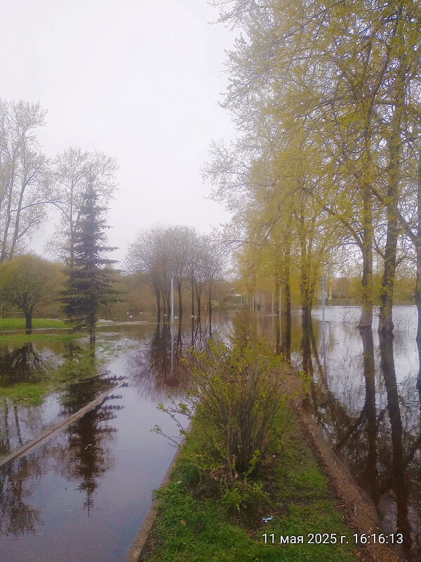 Подтопление - Сергей Кочнев