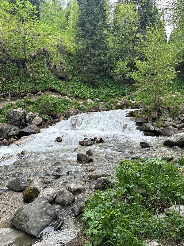 Горная река - Георгиевич Горная река - Георгиевич