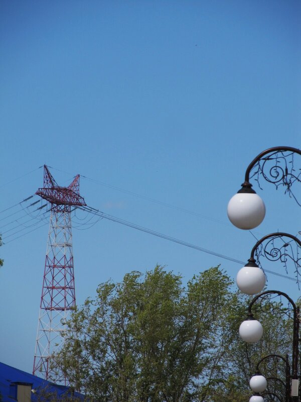 зарисовка - Елена Шаламова