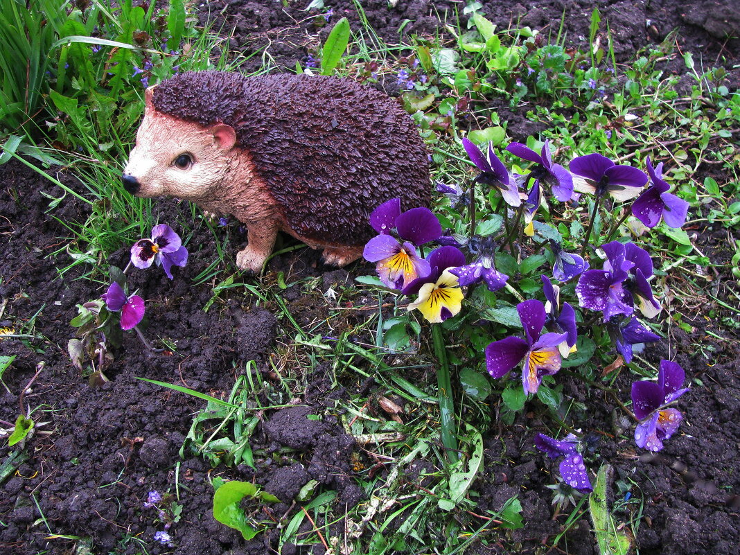 Любитель красоты - Людмила Смородинская Любитель красоты - Людмила Смородинская