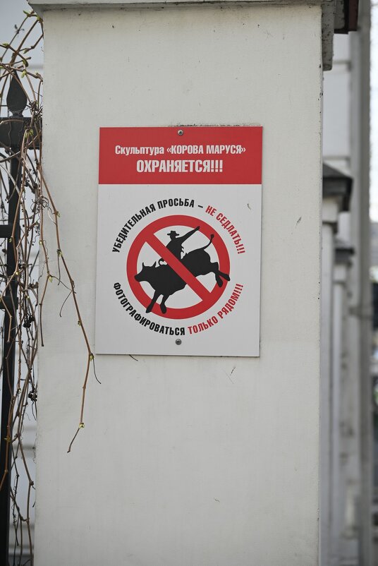 Возле коровы у музея сыра) - Митяй Митрич Возле коровы у музея сыра) - Митяй Митрич