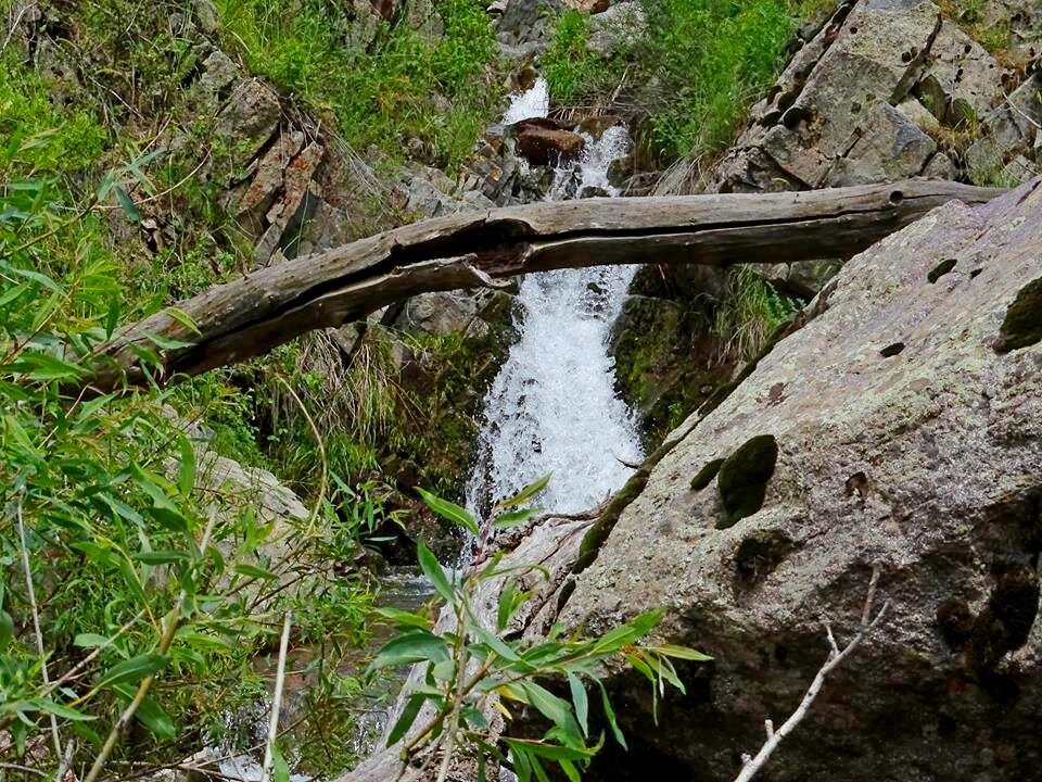 НАШИ ПРОГУЛКИ. - Виктор Осипчук НАШИ ПРОГУЛКИ. - Виктор Осипчук