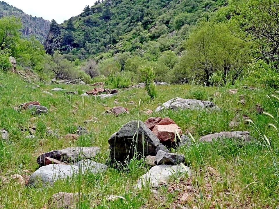 НАШИ ПРОГУЛКИ. - Виктор Осипчук НАШИ ПРОГУЛКИ. - Виктор Осипчук