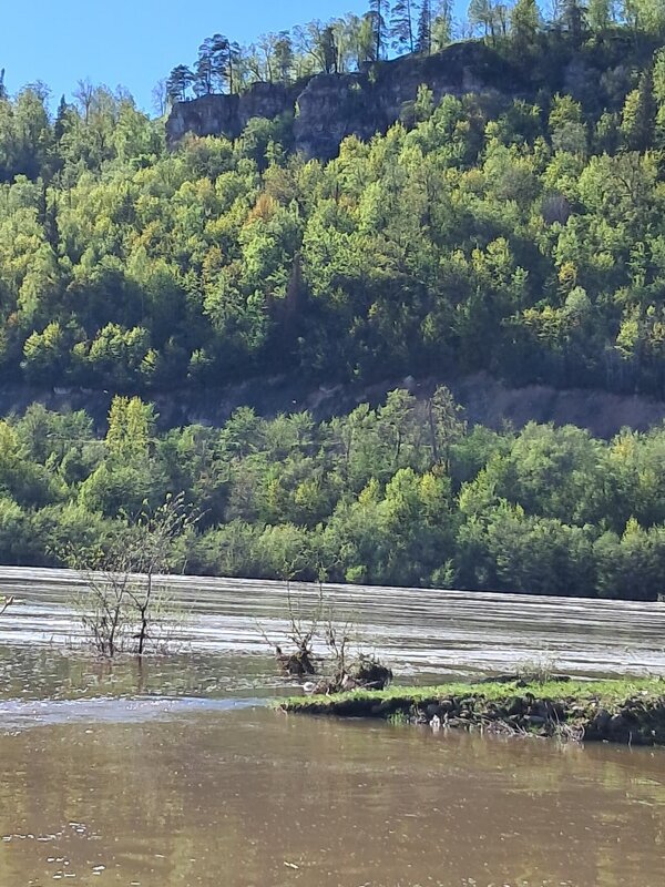 ,,, - Сергей Тимоновский