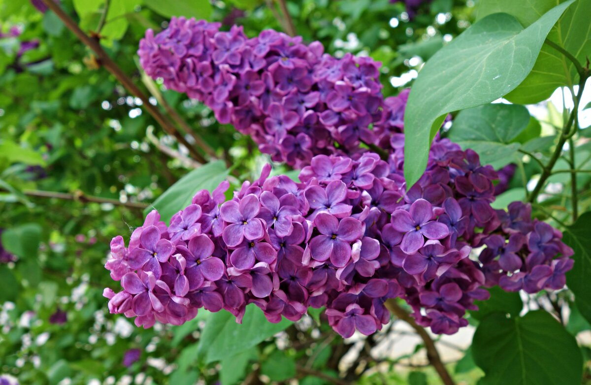 ... - Галина ... - Галина