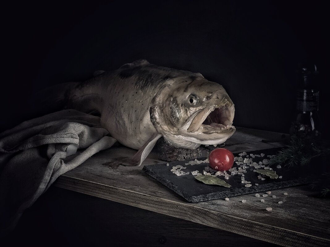 Ужин с возмущением. - Галина Левина Ужин с возмущением. - Галина Левина