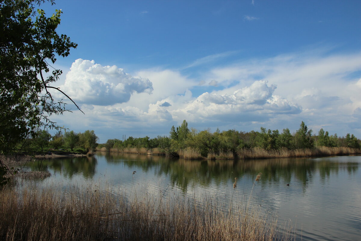 **** - Виктор **** - Виктор