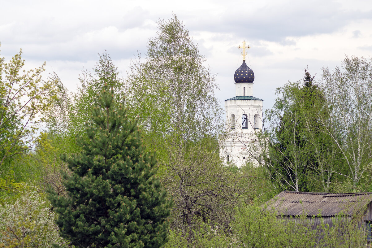 Храм Вознесения в Сенницах - sorovey Sol Храм Вознесения в Сенницах - sorovey Sol