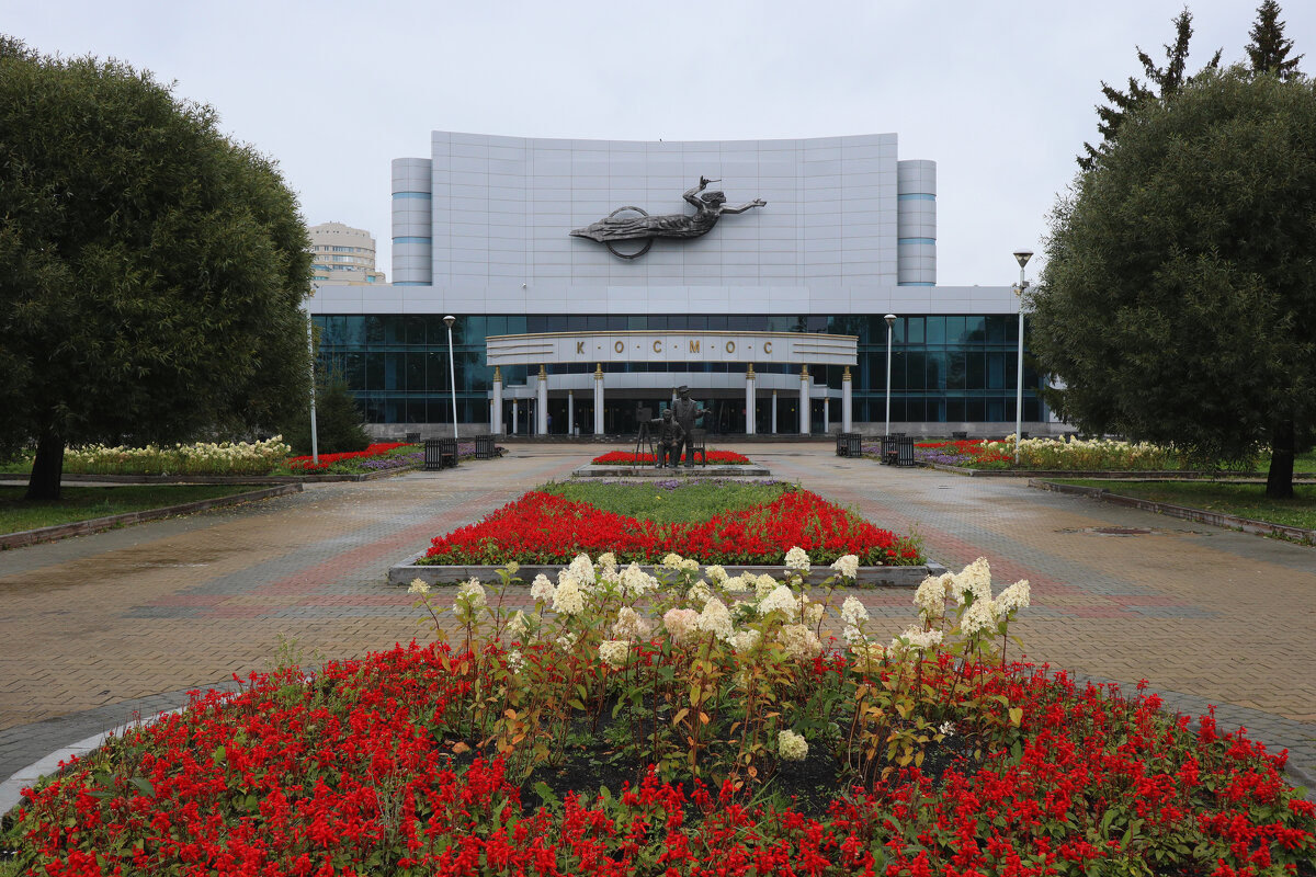 Может, в кино? - Дмитрий Петров Может, в кино? - Дмитрий Петров