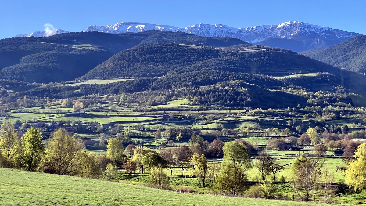 Мир Природы / Natural World" - "The Natural World" Александер