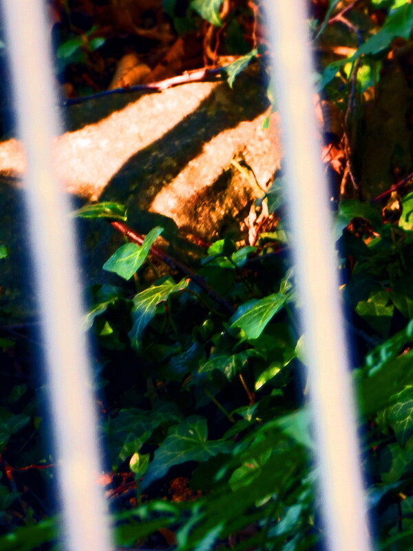 Весенние зарисовки 133 - Алексей Кузнецов