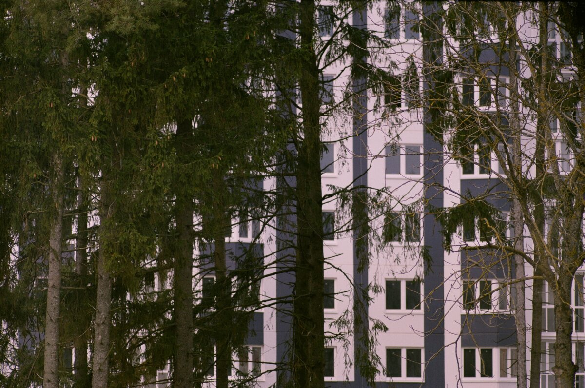 дом за парком - Игорь Бухало