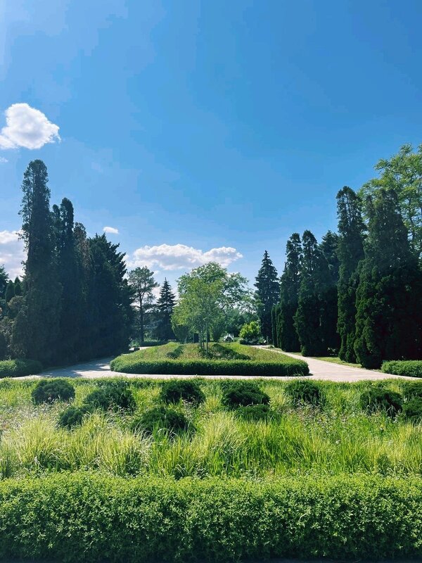 Красота мая. - Георгиевич Красота мая. - Георгиевич