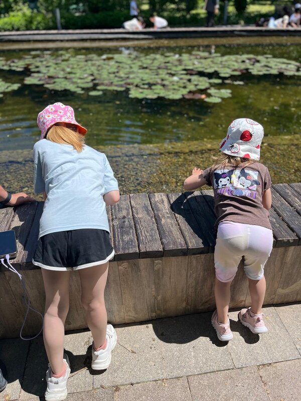 Вода увлекла - Георгиевич 