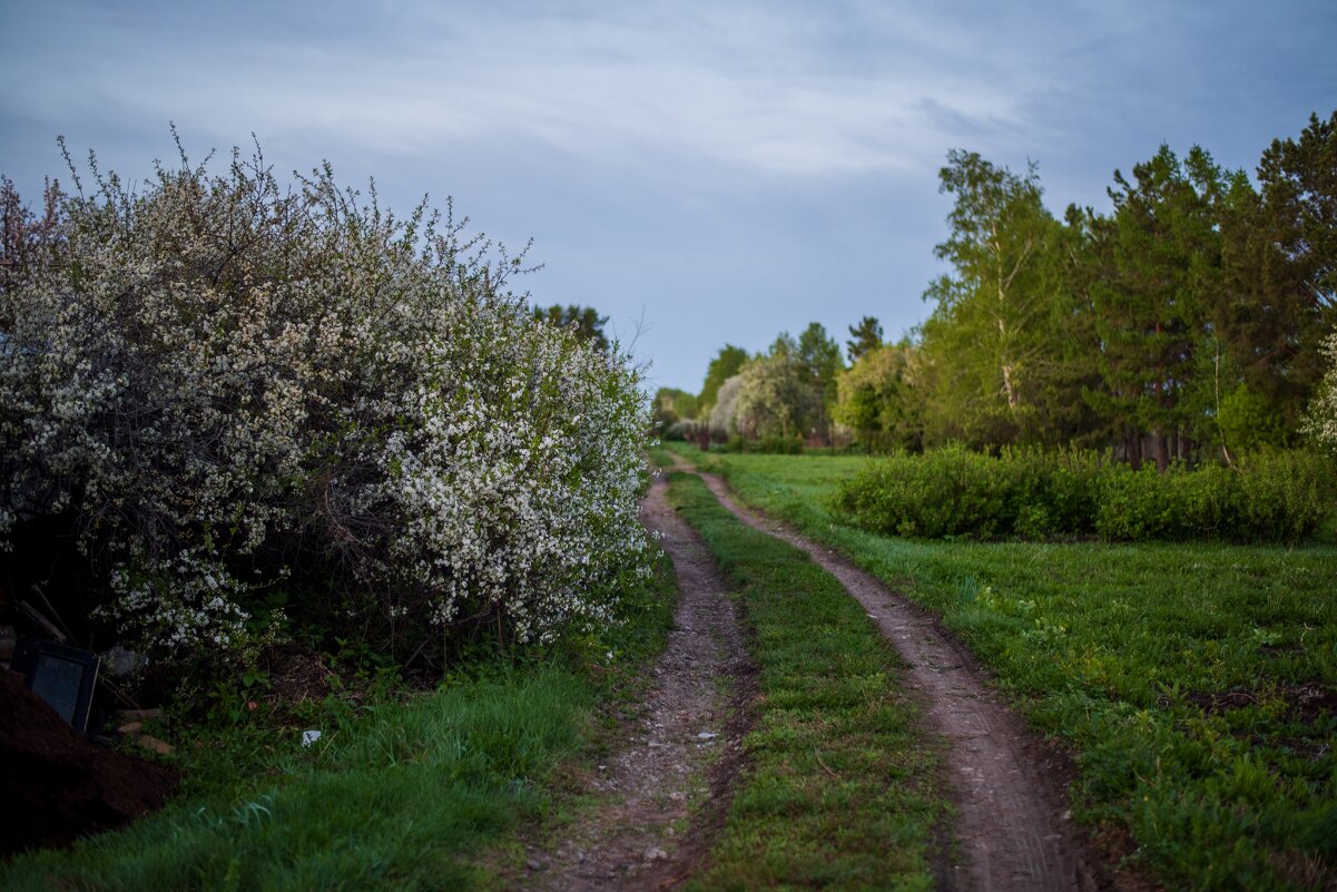 Весна - Петр 