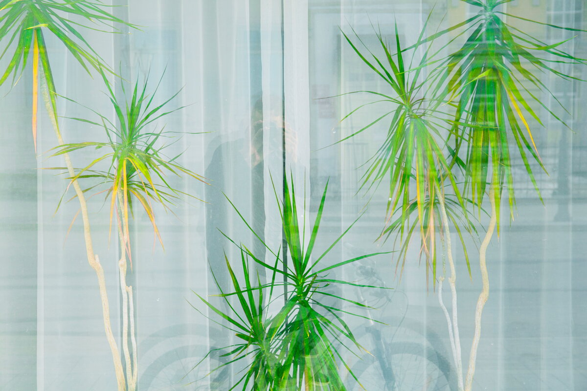 Название отсутствует - Денис Безногов Название отсутствует - Денис Безногов