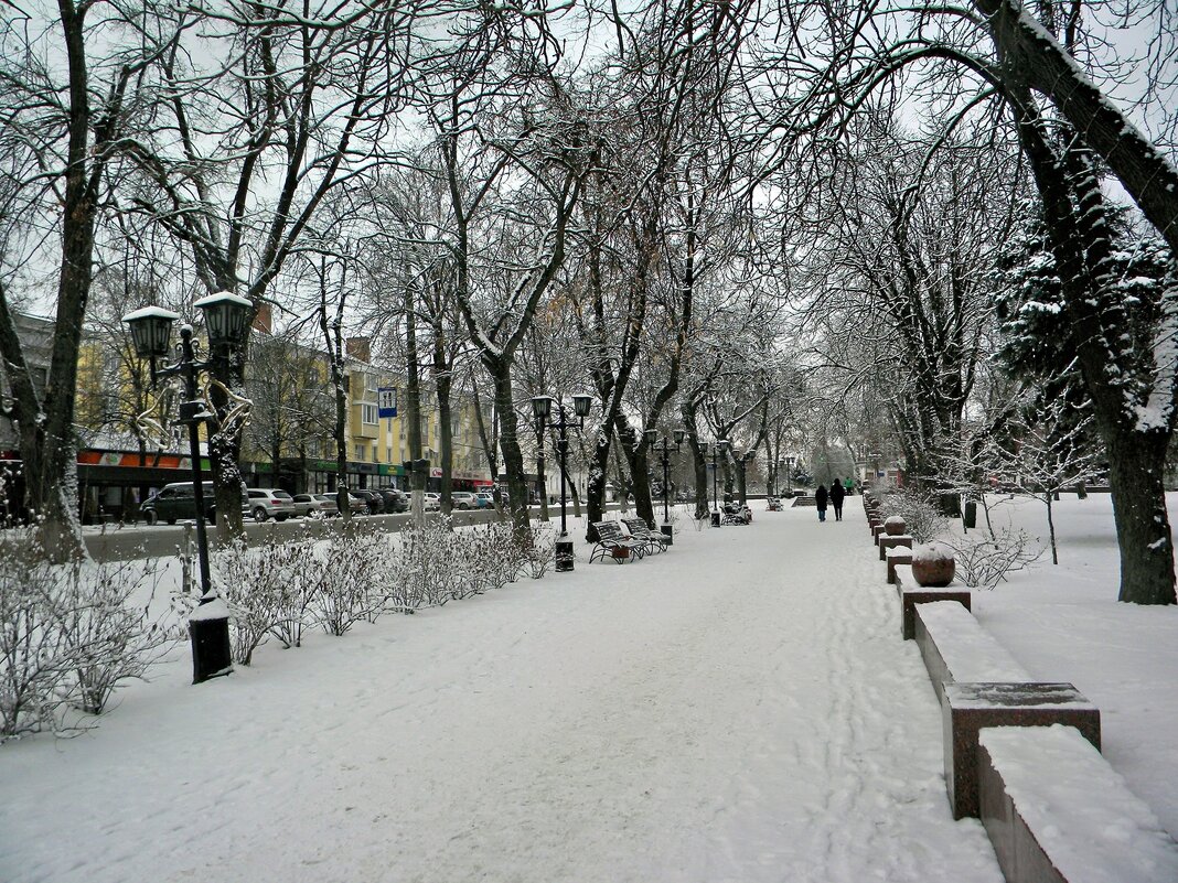 Мой город - Роман Савоцкий