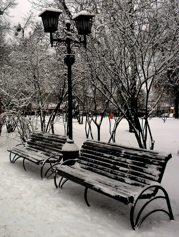 Мой город - Роман Савоцкий