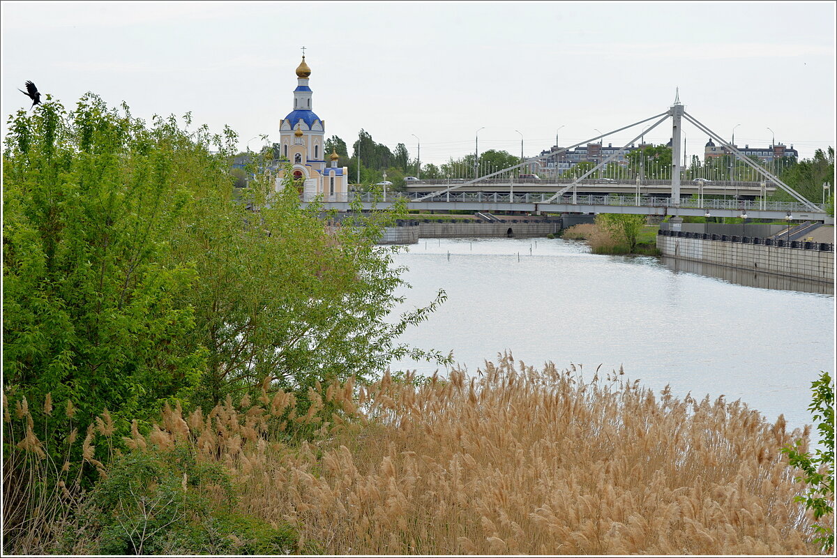 Храм Архангела Гавриила - Сеня Белгородский Храм Архангела Гавриила - Сеня Белгородский