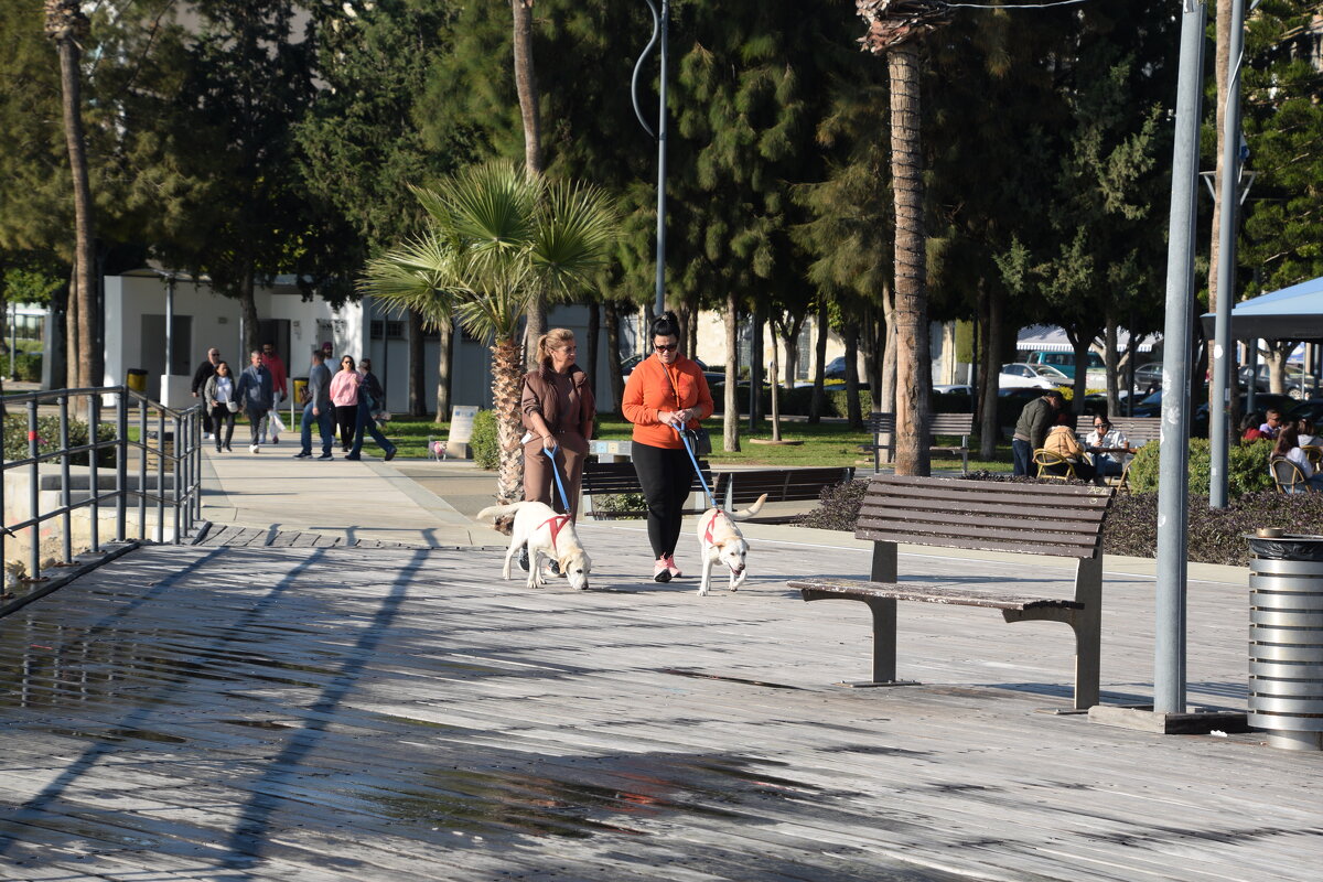 В парке - Oleg4618 Шутченко В парке - Oleg4618 Шутченко