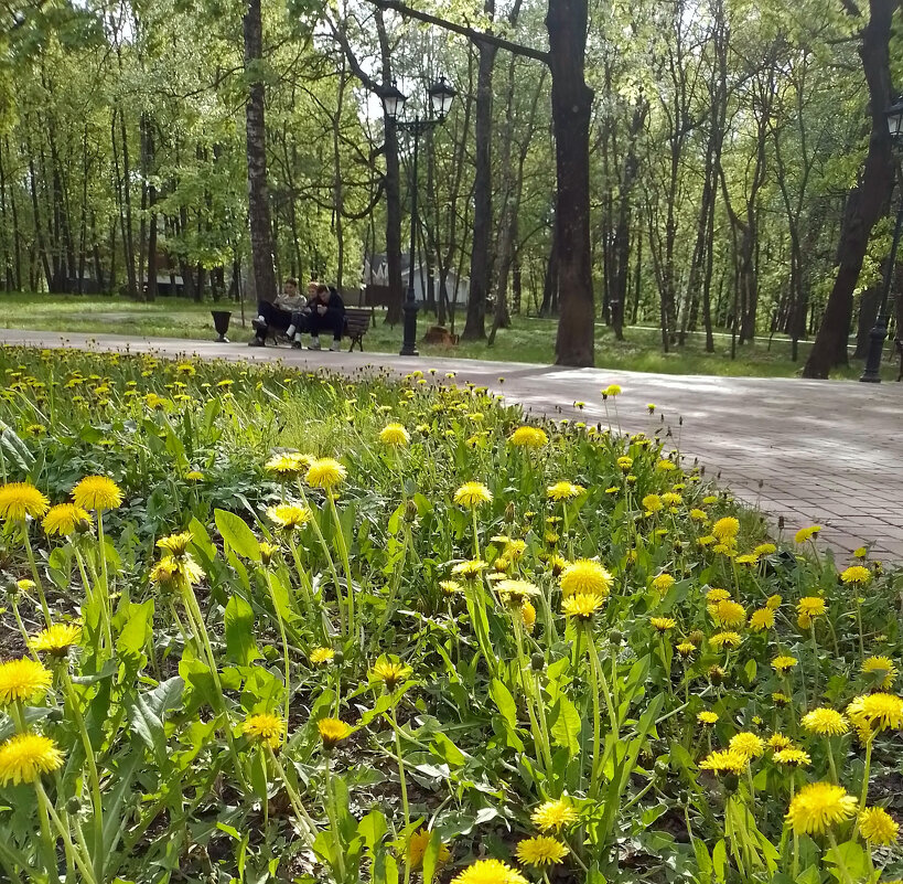 *** - Валентина Береснева