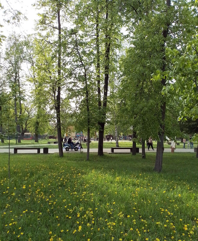 *** - Валентина Береснева