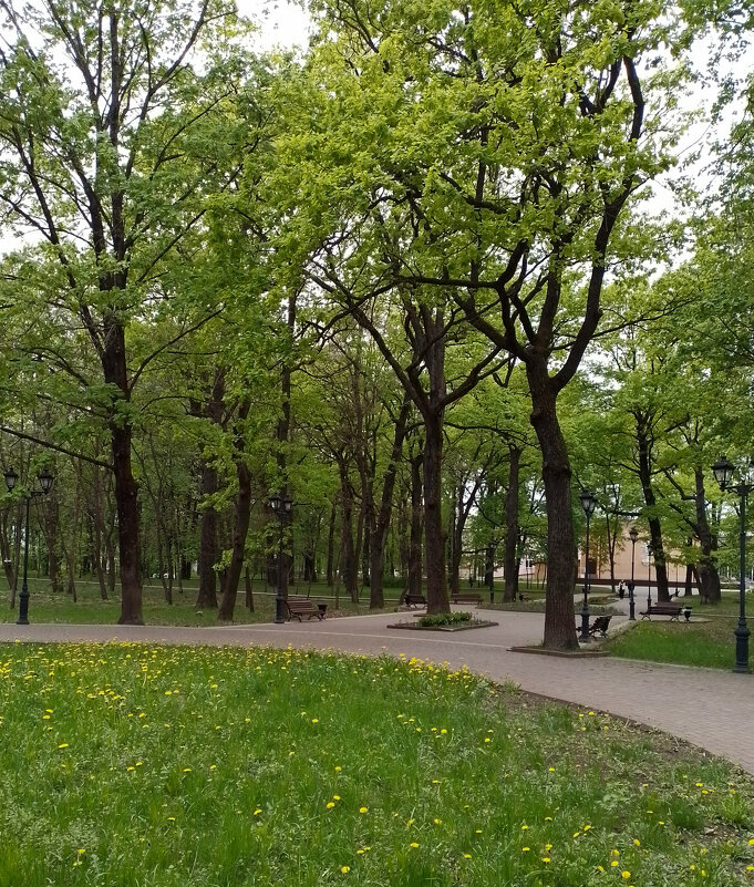 *** - Валентина Береснева *** - Валентина Береснева