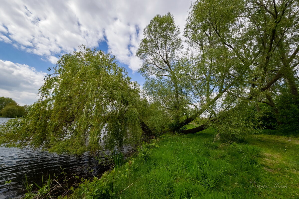 *** - Николай Гирш *** - Николай Гирш
