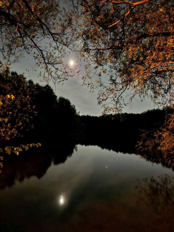 Ночь - Николай (dr.Zlo) Кузнецов