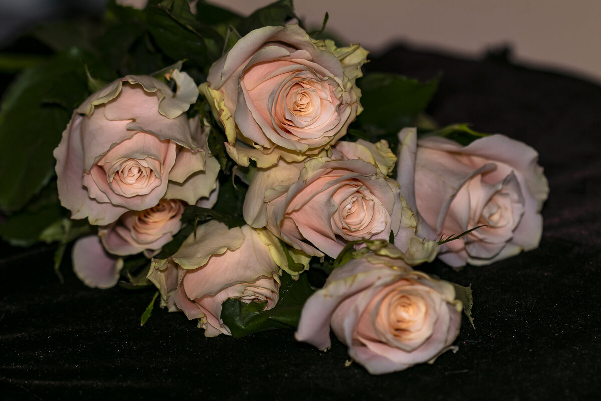 как хороши как свежи были розы - Наталья Крюкова