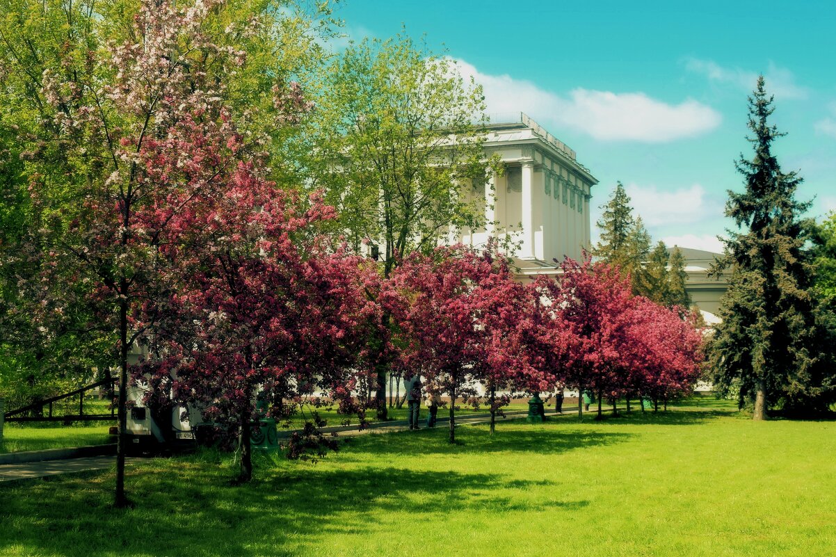 В мае на Главной выставке страны. - Татьяна Помогалова В мае на Главной выставке страны. - Татьяна Помогалова