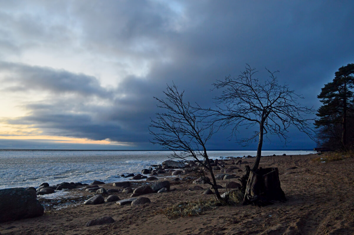 Зимним вечером..... - Юрий Цыплятников Зимним вечером..... - Юрий Цыплятников