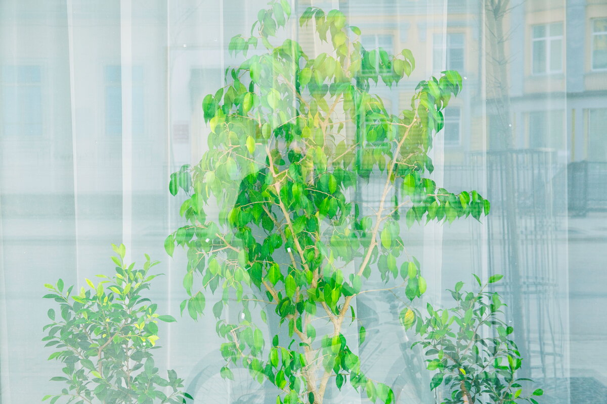 Название отсутствует - Денис Безногов Название отсутствует - Денис Безногов