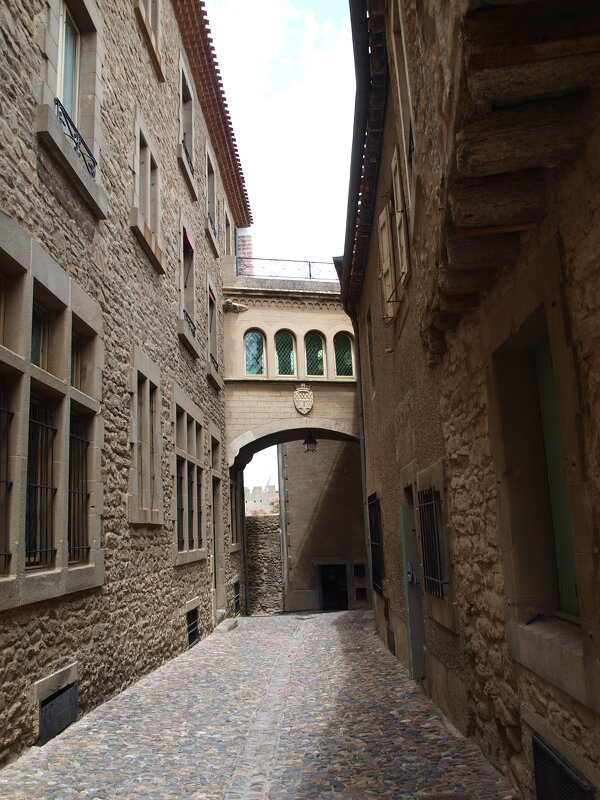 Франция. Крепость Каркассон. - Владимир Драгунский Франция. Крепость Каркассон. - Владимир Драгунский