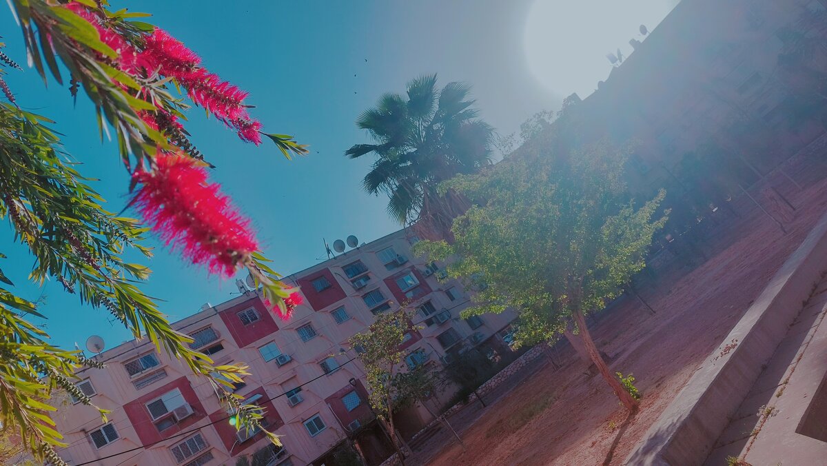 13 ОПЕН (3) - OPEN WAYS ALL 13 ОПЕН (3) - OPEN WAYS ALL