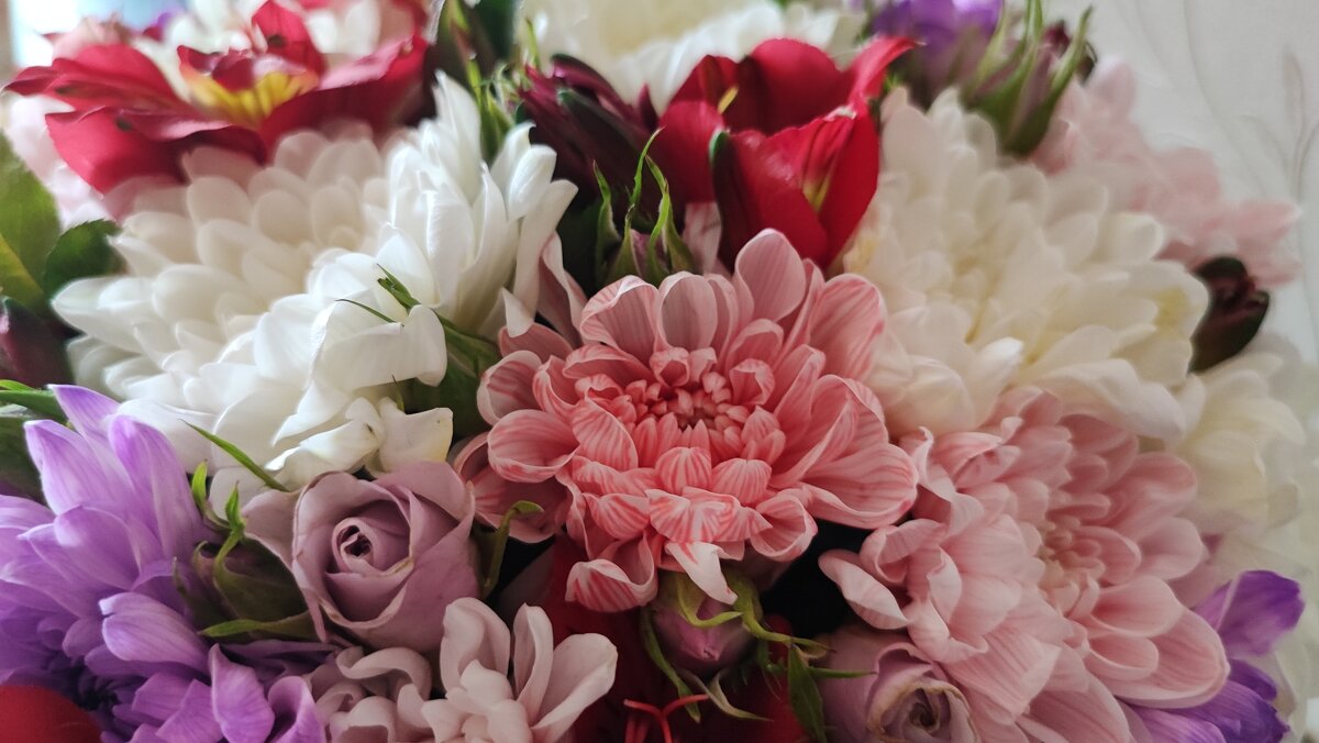 ... - Сергей Тимоновский ... - Сергей Тимоновский