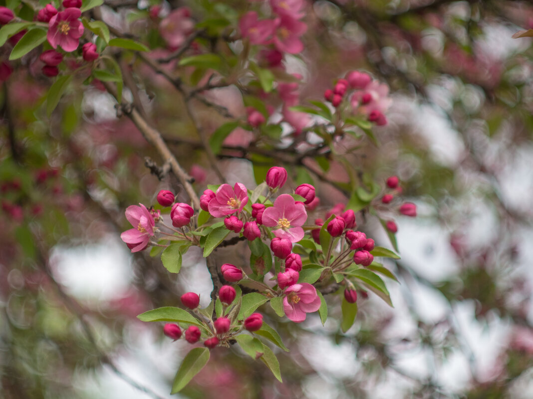 ___ - Yuriy V ___ - Yuriy V