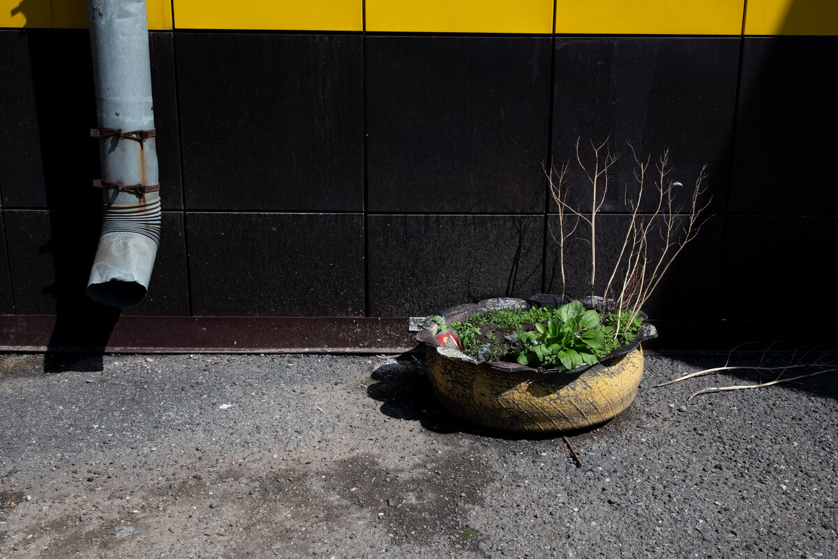 *** - Валерий Михмель 