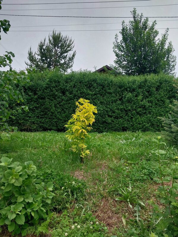 Talgar. - Murat Bukaev 