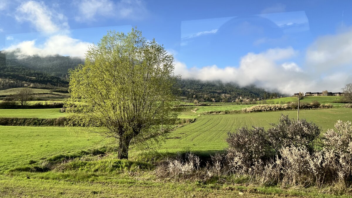 Мир Природы / Natural World - Мир, Природы, Natural, World - "The Natural World" Александер Мир Природы / Natural World - Мир, Природы, Natural, World - "The Natural World" Александер