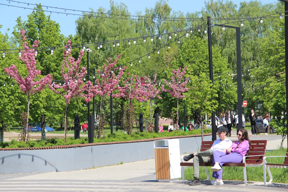 Май. - Венера Чуйкова Май. - Венера Чуйкова