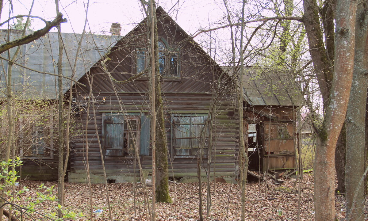 Покинутый - Елена Минина Покинутый - Елена Минина