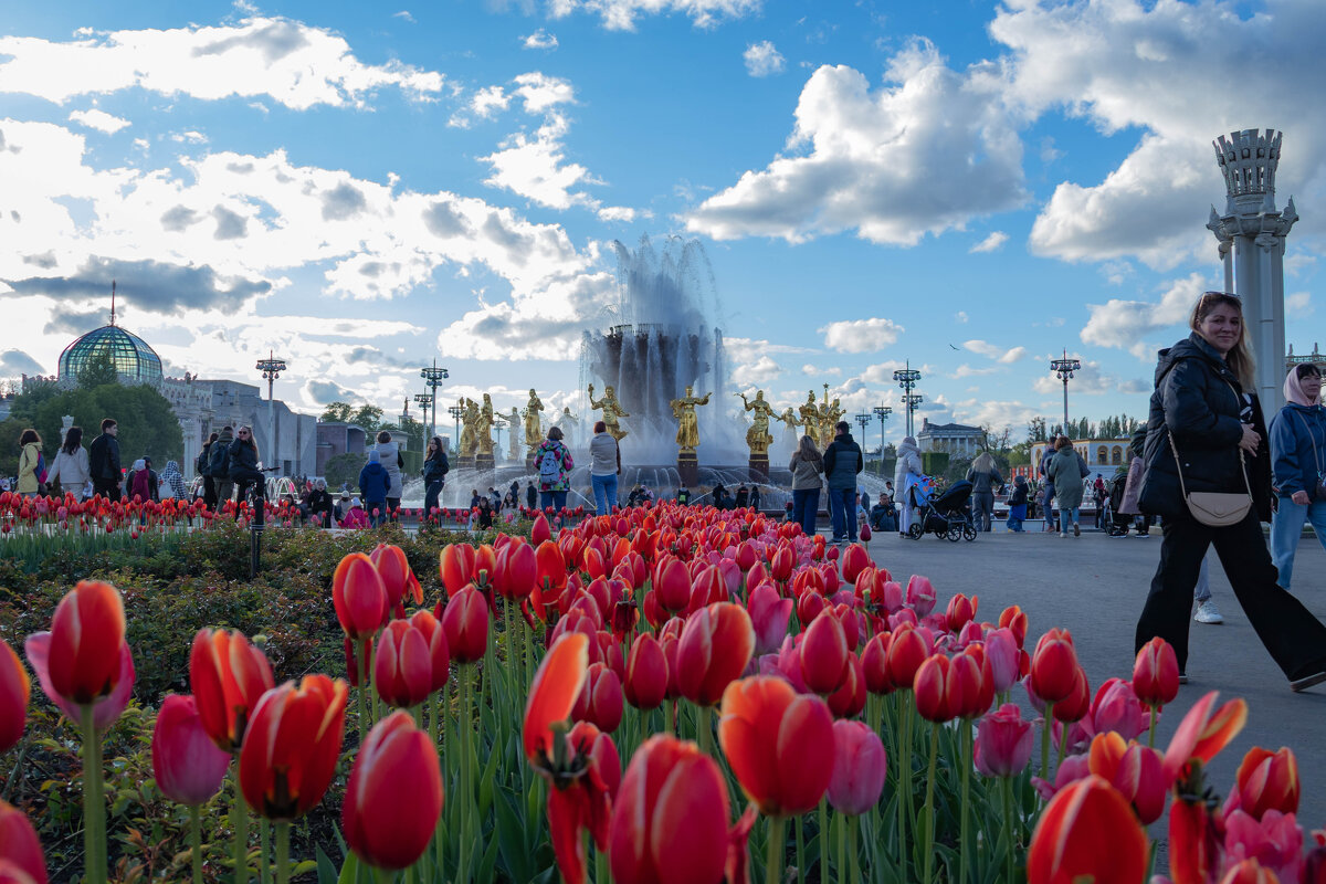 Фонтан Дружбы народов ВДНХ - Andrew Фонтан Дружбы народов ВДНХ - Andrew