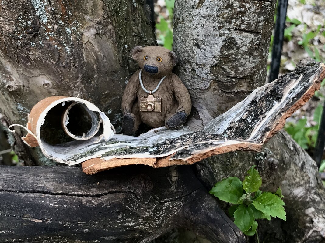 Фоторепортер на природе… - Любовь Фоторепортер на природе… - Любовь