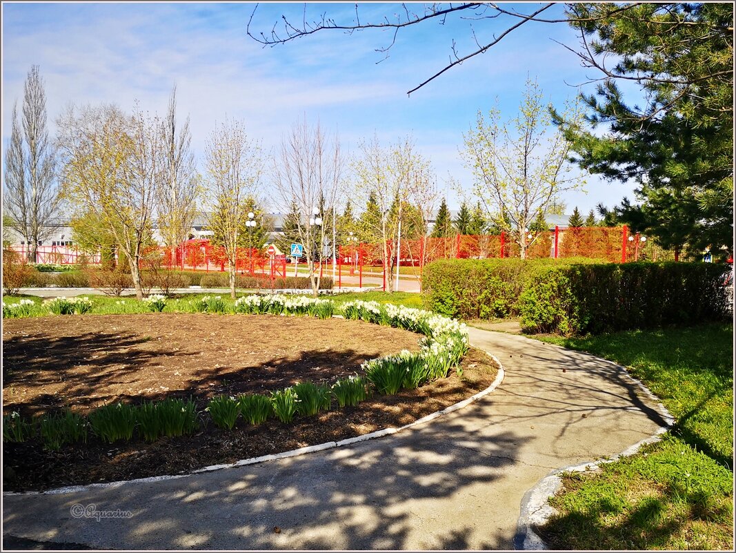 Май... - Aquarius - Сергей Май... - Aquarius - Сергей