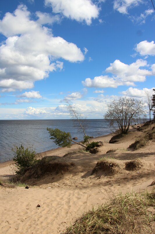 Ладожское Озеро - Наталья Герасимова Ладожское Озеро - Наталья Герасимова
