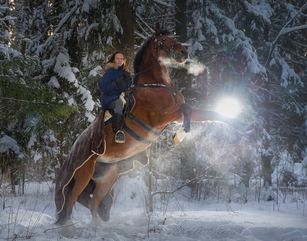 серебро - игорь 