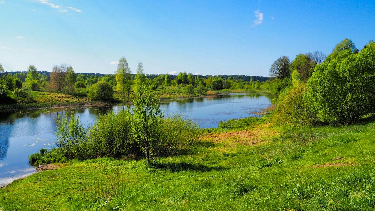 Майский пейзаж с озером - Милешкин Владимир Алексеевич 