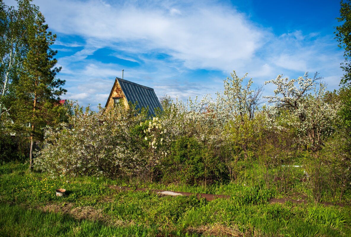 А за окошком месяц май... - Петр 